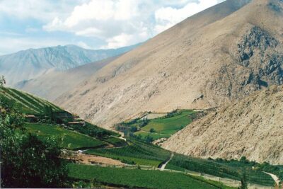Full day Tour to Elqui Valley
