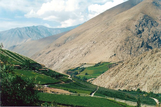 La Serena: Full day Tour to Elqui Valley - Vicuña and the Gabriela Mistral Museum: Baüer Tower and Town-Square Time