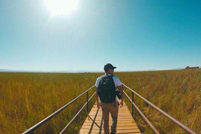 Laguna Cejar, Ojos del Salar and Tebenquinche in Atacama - Getting there, group size, and what the schedule feels like