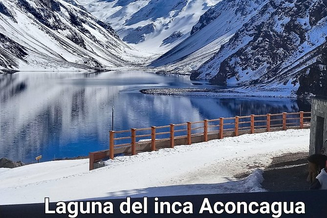 Laguna del Inca Aconcagua, Portillo - Portillo Ski Area, Lunch With a View, and the Laguna del Inca Payoff