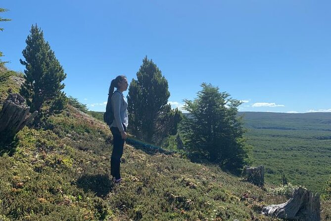 Magallanes National Reserve and Punta Arenas City Tour - Key highlights at a glance