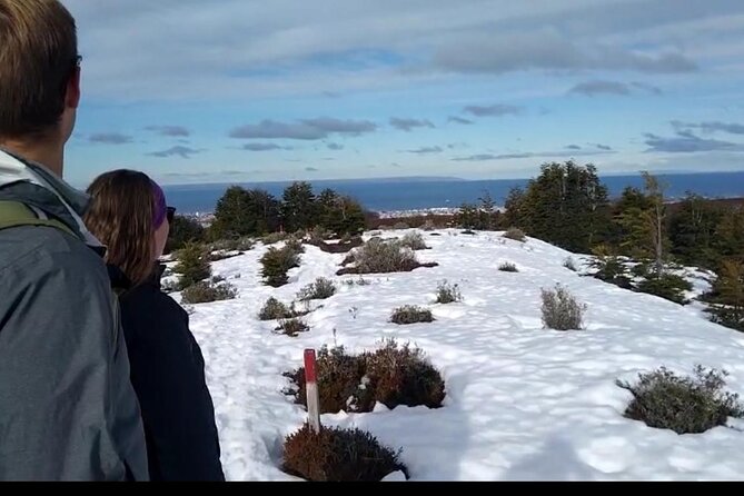 Magallanes National Reserve and Punta Arenas City Tour - Reserva Nacional Magallanes: the one-hour walk that feels more like learning than sightseeing