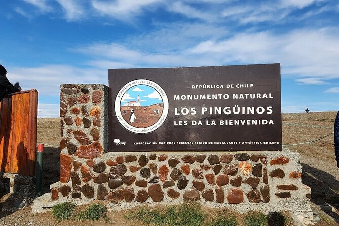 Magdalena Island Penguin Boat Tour and Marta Island - Speedboat to Isla Magdalena: penguins first, questions later