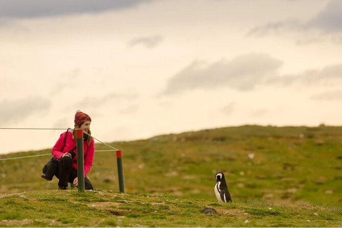 Magdalena Island Penguin Boat Tour and Marta Island - How to dress and prep for Magdalena and Marta