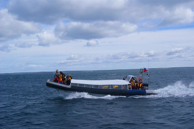 Magdalena Island Penguin Tour by Boat from Punta Arenas - The Boat Ride Through the Strait of Magellan, and Why It’s Part of the Value
