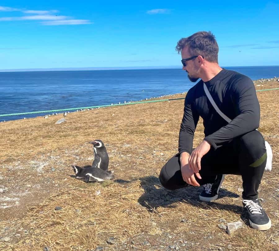 Magdalena Island: Walk with the penguins - Dolphins and whales at sea: how to make the most of the cruise