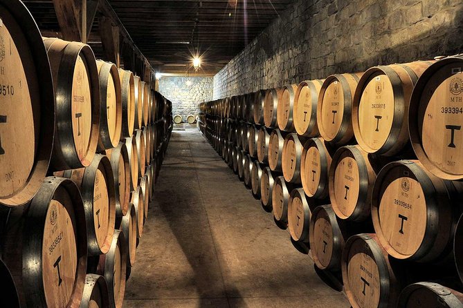 Maipo Valley Experience - The Vineyard Tour and Why 2 Hours Per Winery Is a Good Deal
