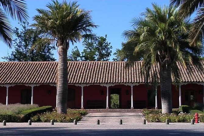 Maipo Valley Experience - Food, Timing, and How to Avoid a Sore Day