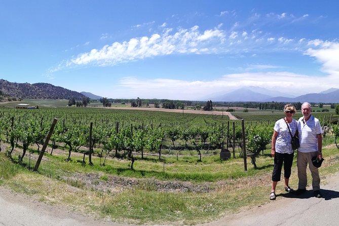 Maipo Valley Experience - Private Pickup, Local Guide, and Why It Changes the Day