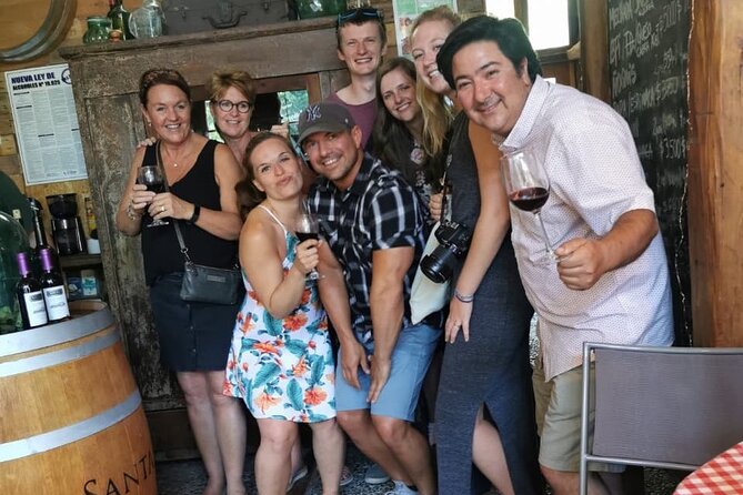 Maipo Valley litle wine bus from Santiago - Santa Ema, TerraMater, and De Martino: how to taste premium without feeling rushed