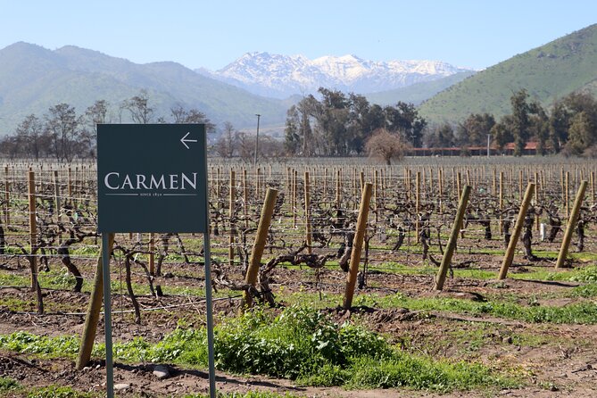 Maipo Valley Top Wineries Private Tours and Tastings from Santiago - Why Maipo Valley makes sense for a one-day wine deep education