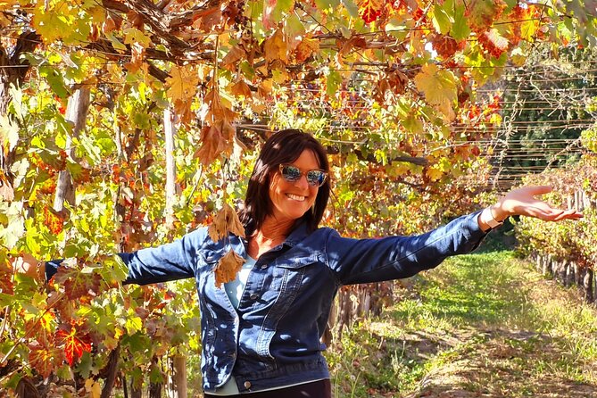 Maipo Valley Wine Tour with 4 vineyards from Santiago. - Price and what you actually get for $135