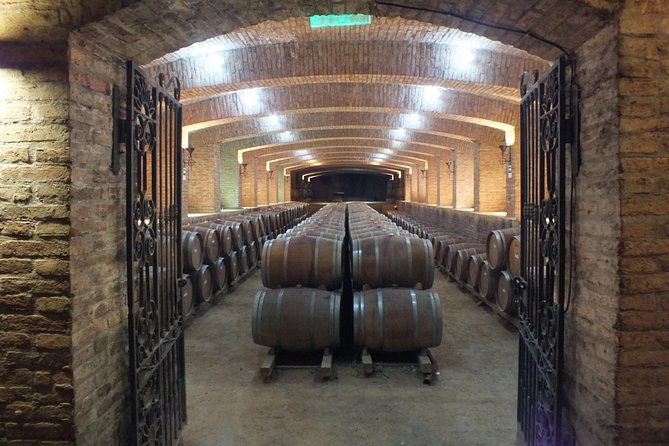 Maipo Valley Wine Tour with 4 vineyards from Santiago. - Stop 2: Vina Ballek by the Maipo River terraces