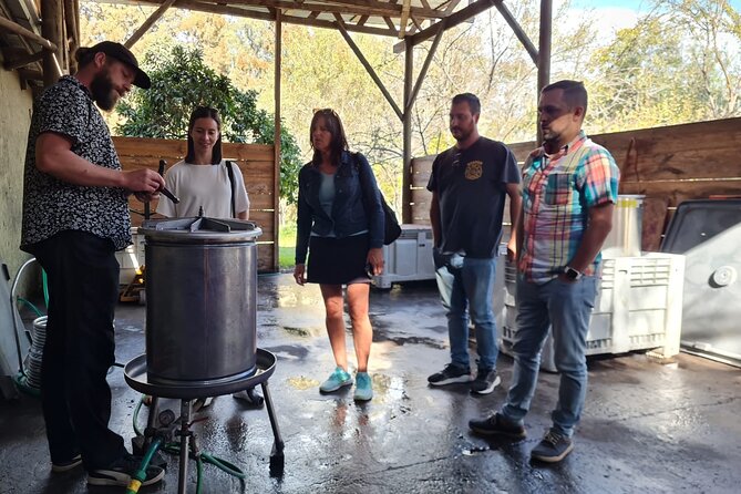 Maipo Valley Wine Tour with 4 vineyards from Santiago. - Stop 4: TerraMater and lunch at Zinfandel, plus olive oil at cellar price