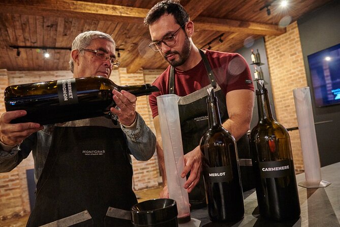 Make Your Own Wine & Guided Vineyard Tour - MontGras in the Colchagua orbit, without the big-tour feel