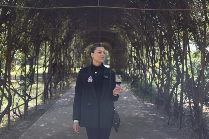 Marquis de Casa Concha: Wine tasting in Concha y Toro - First city stop: Plaza de Armas area check-in
