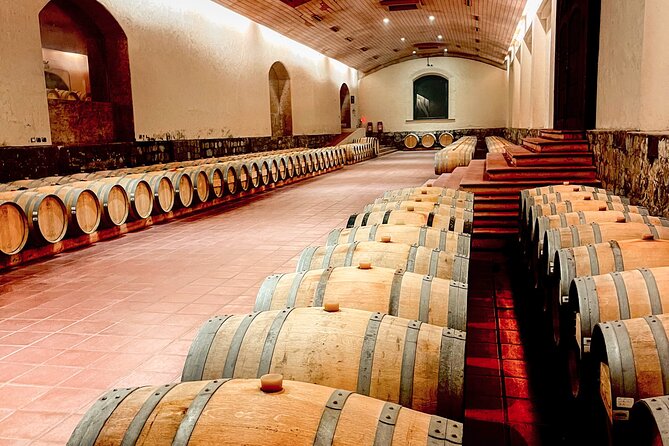 Marquis de Casa Concha: Wine tasting in Concha y Toro - Casa Don Melchor exteriors and the Park vibe