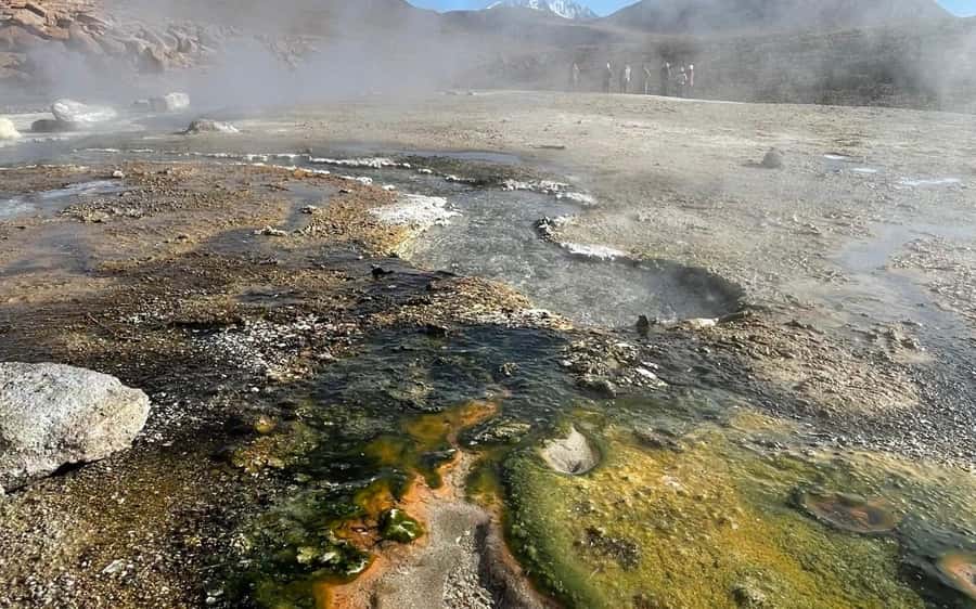 Memorable Tatio Geysers Tour with Flamingos and Scenic Views - Key Highlights You Should Care About