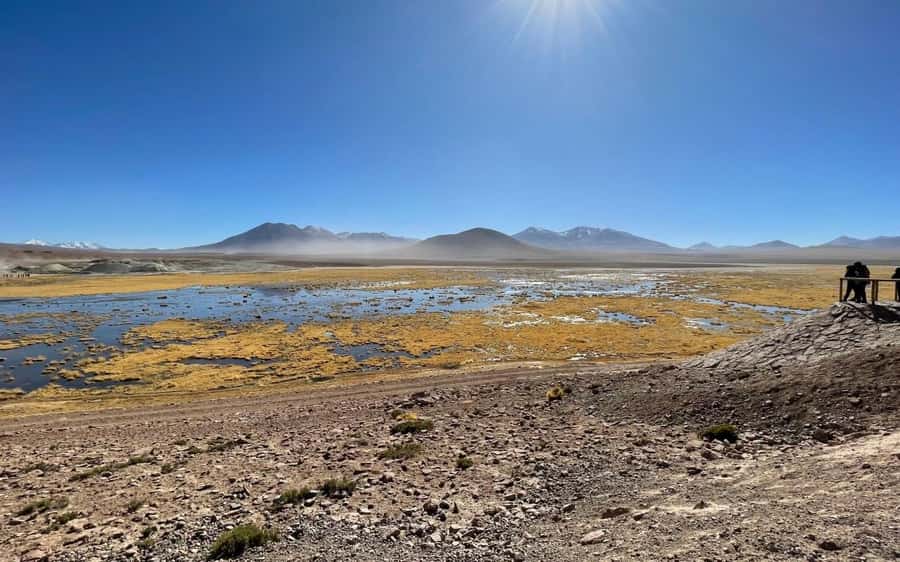 Memorable Tatio Geysers Tour with Flamingos and Scenic Views - Putana Volcano Wetlands: Wildlife Viewing That Slows the Pace