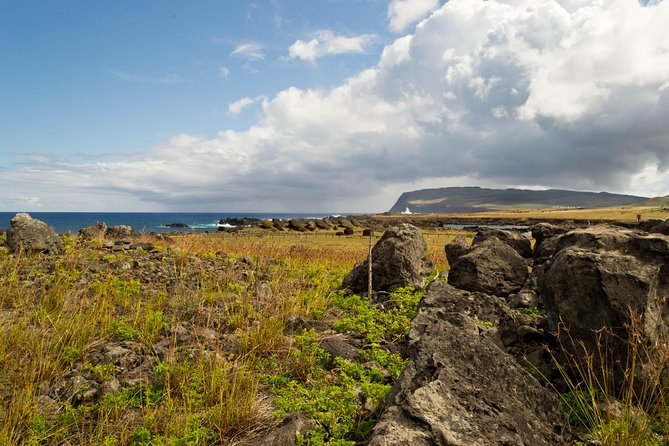 Moai Rise and Fall: Full Day Private Tour - Stop 5: Rano Raraku, Where the Moai Were Born