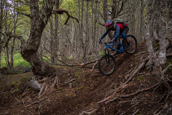 Mountain Bike Adventure in Punta Arenas - Punta Arenas Mountain Biking: Why This Day Feels Different