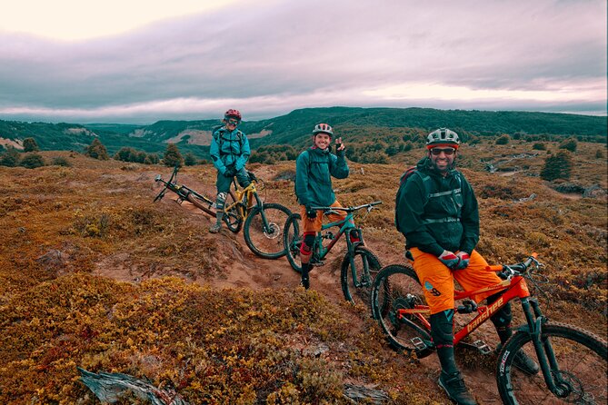 Mountain Bike Adventure in Punta Arenas - Reserva Nacional Magallanes: Lengas, Coigues, and Trail Options That Work