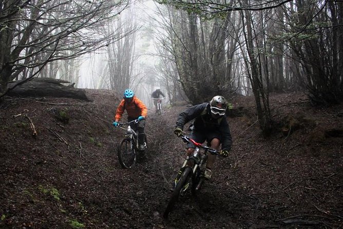 Mountain Bike Adventure in Punta Arenas - Who This Tour Is Best For (And Who Might Reconsider)