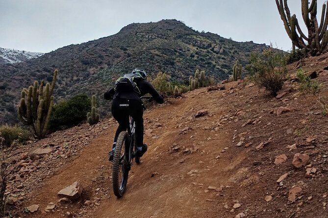 Mountain Bike Experience from Chile - Bikes, gear, and why a max of 4 riders changes the whole experience