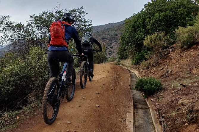 Mountain Bike Experience from Chile - The Secret Spot above Santiago: the view, the pause, the possible wildlife