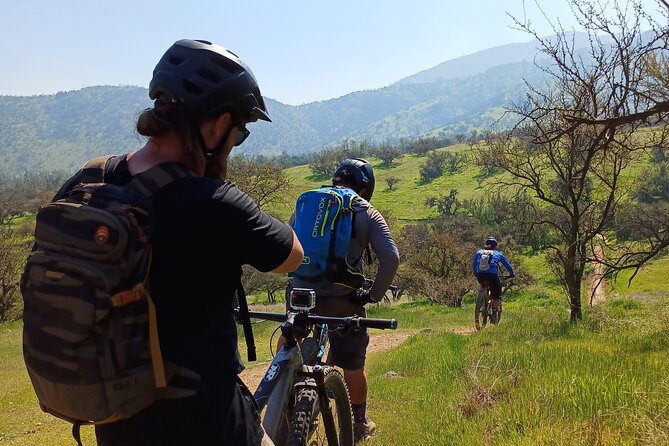 Mountain Bike Experience from Chile - The long descent: where the guide’s technique talk earns its keep