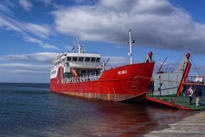 Navigation to South Fjords & Magdalena Island - Key things to know before you go