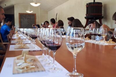 New Concha y Toro Tour Marques with class, extra tasting y food