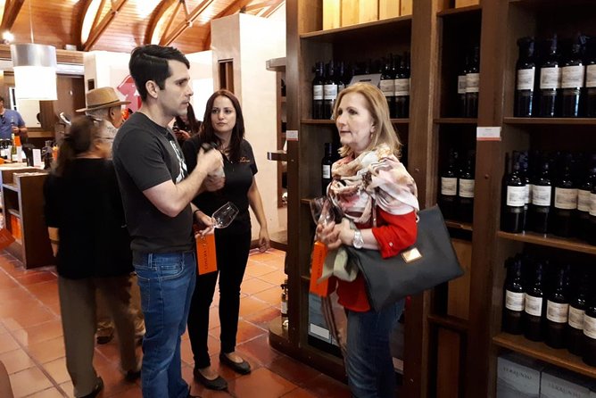 New Premium Concha y Toro Tour Includes winetasting & Transport - Price and Logistics: The 4-Hour Promise vs Real Life in Santiago