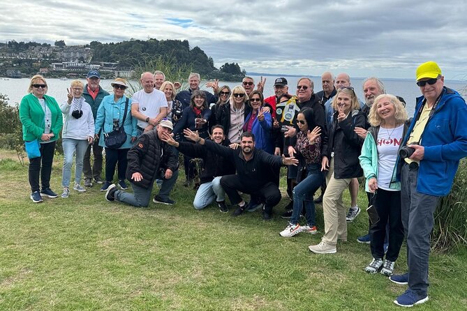 Osorno Volcano and National Park Shore Tour for Cruisers - Why This Puerto Montt Volcano and Falls Tour Feels Built for Cruise Days