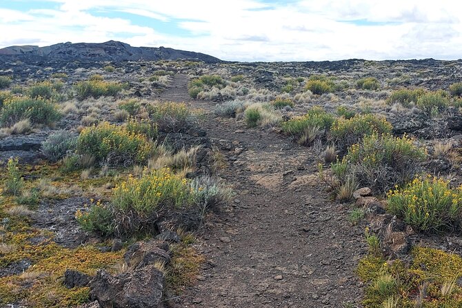 Pali Aike Full-Day Adventure from Punta Arenas - Pali Aike, Punta Arenas Style: Volcanic Walking With Real-World Stories