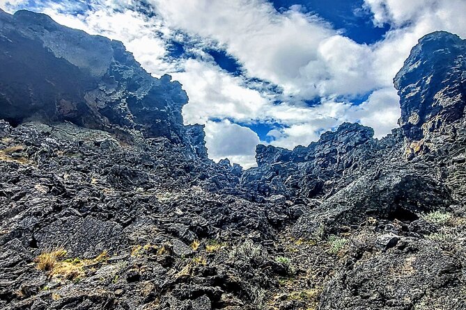 Pali Aike Full-Day Adventure from Punta Arenas - The Guide Factor: Why This Day Trip Feels Better Than DIY