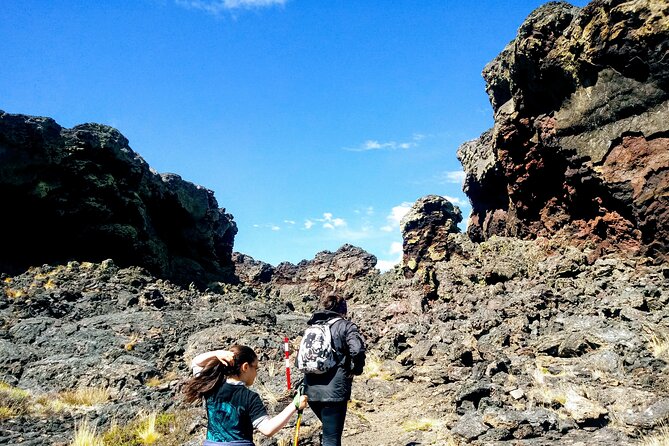 Pali Aike Full-Day Adventure from Punta Arenas - Price and Value: What You Get for $350 per Person