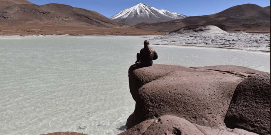 Piedras Rojas, Altiplanics Lagoons & Salar Full-Day Tour - A 10-Hour Circuit That Feels Like Three Different Atacama Worlds