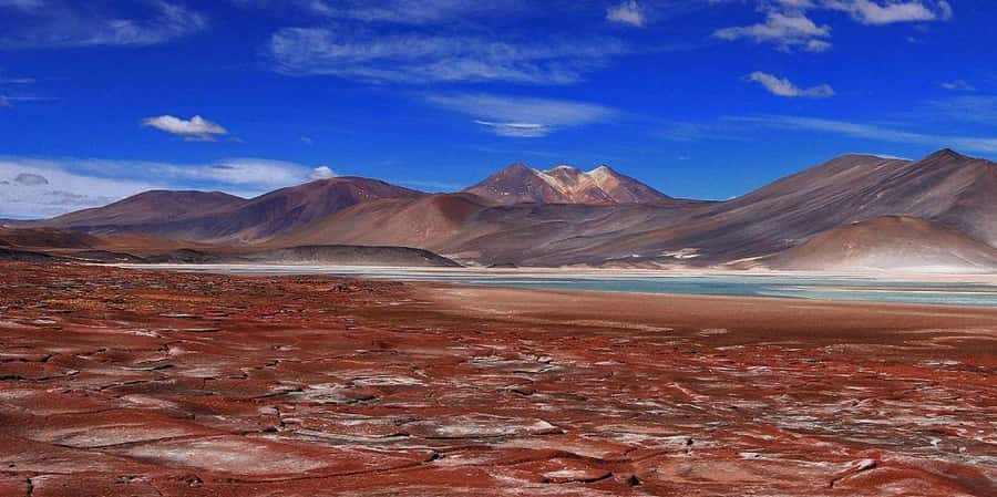 Piedras Rojas, Altiplanics Lagoons & Salar Full-Day Tour - Pickup at 6:00 AM: The Trade-Off That Gets You Better Light and Fewer Hassles