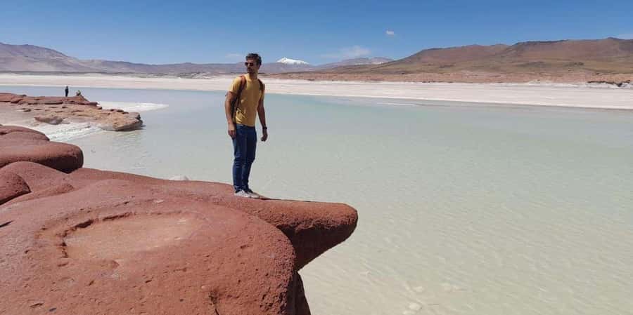 Piedras Rojas, Altiplanics Lagoons & Salar Full-Day Tour - Piedras Rojas at Salar de Talar: Purple Stones That Look Unreal