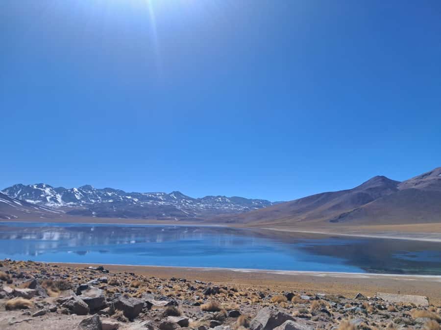 Piedras Rojas, Altiplanics Lagoons & Salar Full-Day Tour - What to Bring (And What People Get Wrong): Layers, Water, and Sunglasses