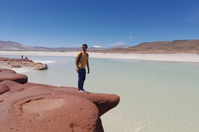 Piedras Rojas Salt Flats and Altiplanic Lagoons - Key Points to Know Before You Go