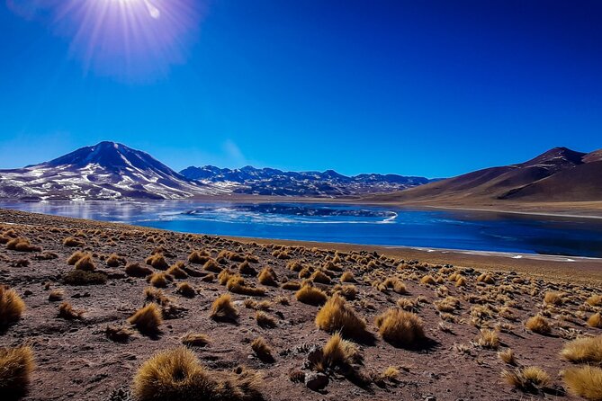 Piedras Rojas Salt Flats and Altiplanic Lagoons - Red Rocks, Lagoons, and Salt Flats in One Long Day