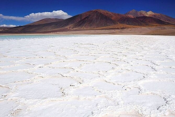 Piedras Rojas Salt Flats and Altiplanic Lagoons - Stop 1: Piedras Rojas, the Red-Rock Moment
