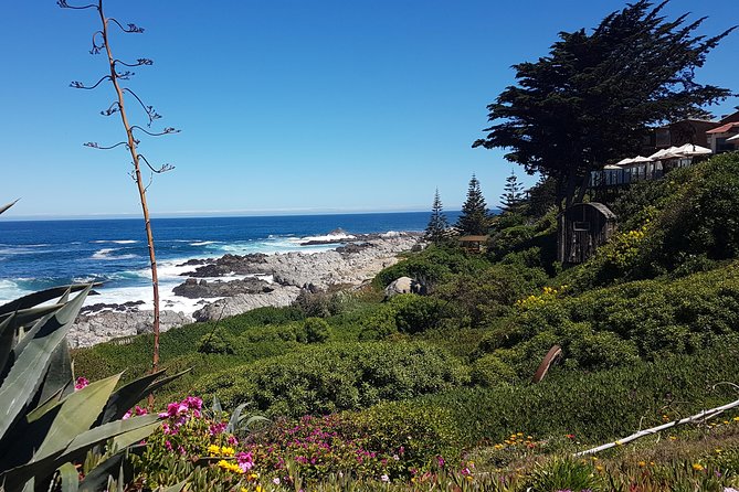 Poetry and Wines: Isla Negra and Undurraga vineyard - Casa Museo Isla Negra and Neruda’s Black Island
