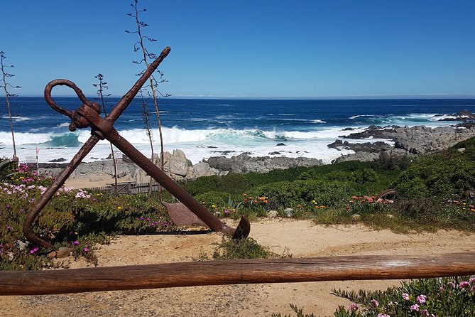 Poetry and Wines: Isla Negra and Undurraga vineyard - Price and value for a $200 Santiago day