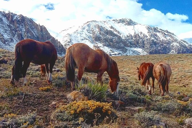 Portillo & Inca Lagoon Private Andes Experience + Chilean Wine - The ride up: Los Caracoles road and the 90-minute ascent to Portillo