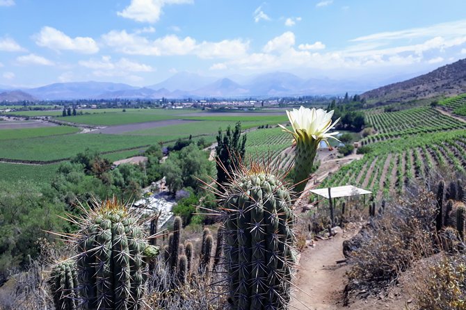 Portillo & Inca Lagoon Private Andes Experience + Chilean Wine - Private guide energy: how Leonardo and Julio set the tone