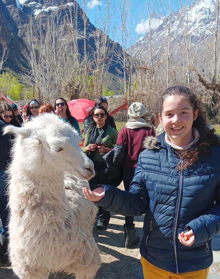 Portillo + Laguna del Inca with picnic - Portillo and Laguna del Inca: why this Andes day works