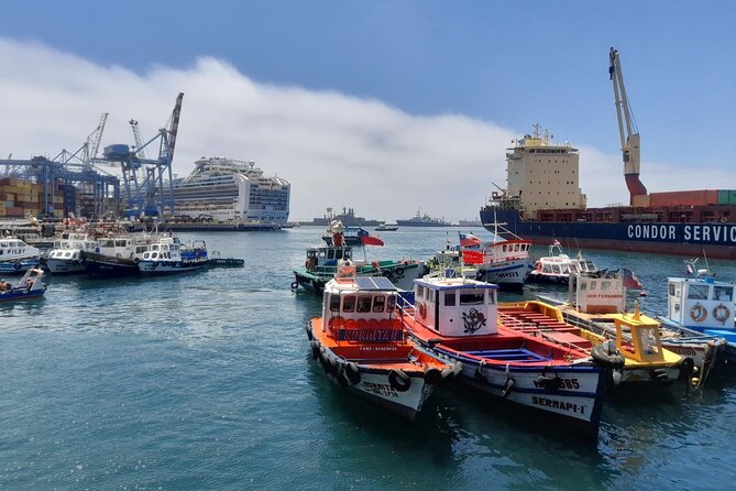 Post-Cruise Valparaíso & Viña del Mar Tour to Santiago 4-Pax Deal - Key Highlights Worth Booking For
